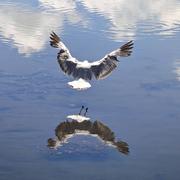 刘涛建大的个人资料头像