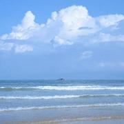 wHw的个人资料头像