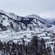 io王飞的个人资料头像