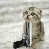 荡漾的水水儿的个人资料头像