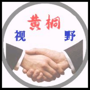 黄桐视野头像
