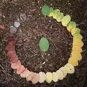 淡淡的一瞬间的个人资料头像