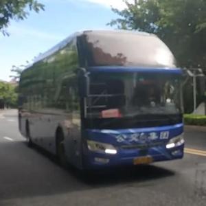 厦门D768路头像