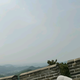 赵县三棵老槐树头像