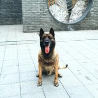bi1ckp头像