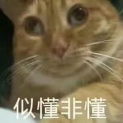 nocturne的个人资料头像