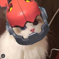 冰火之龙骑士2635头像