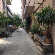 唠叨怪的个人资料头像