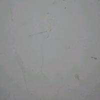 💕ꦿღ⚘不是孙槟ღ᭄ꦿ头像