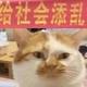 没事添点乱 · 大众CC车主·车龄1年头像