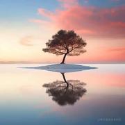 韩泽福的个人资料头像