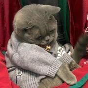 __旅人的个人资料头像