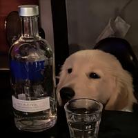 用户2404200018230头像