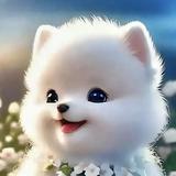 用户262938945头像