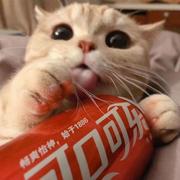 乃琳的火锅的个人资料头像