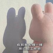 11sdsa的个人资料头像