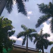 Zzz_x的个人资料头像