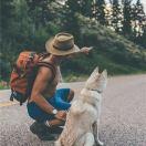 揽风的个人资料头像