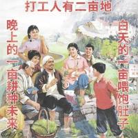 而立的二大爷头像