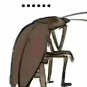 你心中的叶凡的个人资料头像