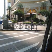 广东支持二胖头像