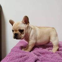 用户4266759499192头像