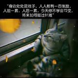 思钱想厚90583头像