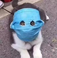 杨帆219头像