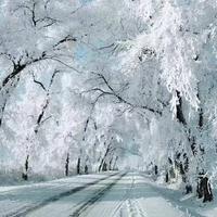 用户1594883892205头像