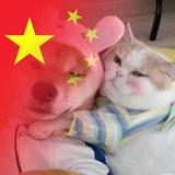 珺彦390头像