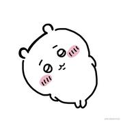 hikarukimi的个人资料头像