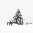 LeeEvans的个人资料头像