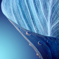 可乐加冰abc头像