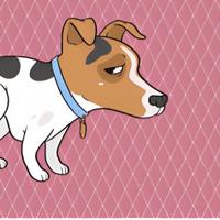 梦有你而美5662头像