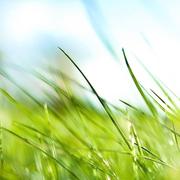 seasonhai的个人资料头像
