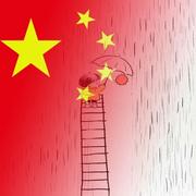 xhl113的个人资料头像