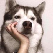 aRui的个人资料头像