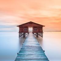 自由的风吹草低见牛羊头像