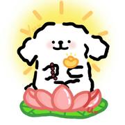 邂逅暗号的个人资料头像