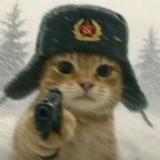 寻嵬头像