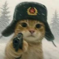 寻嵬头像