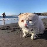 用户6712164101540头像