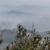 知途头像