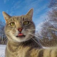 楚门的世界7560头像