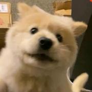 莽夫1的个人资料头像