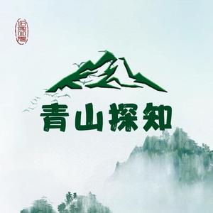 青山探知头像