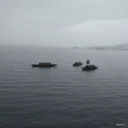 陪你左右的个人资料头像