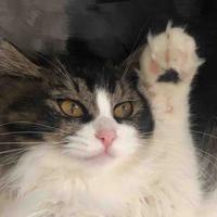 天宇哥哥丫头像