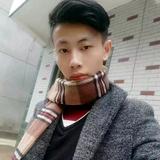 叶子梨头像
