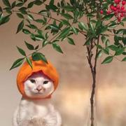 桃叶的个人资料头像